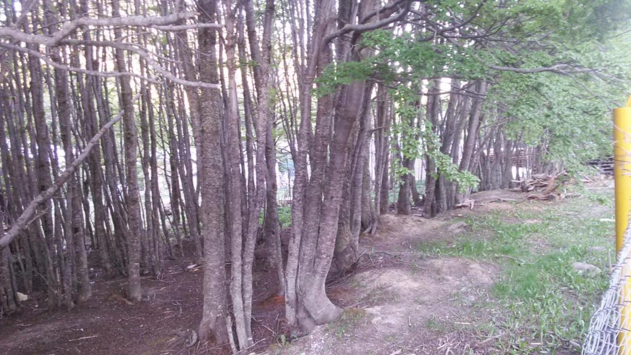 Camping La Encantada 乌斯怀亚 外观 照片